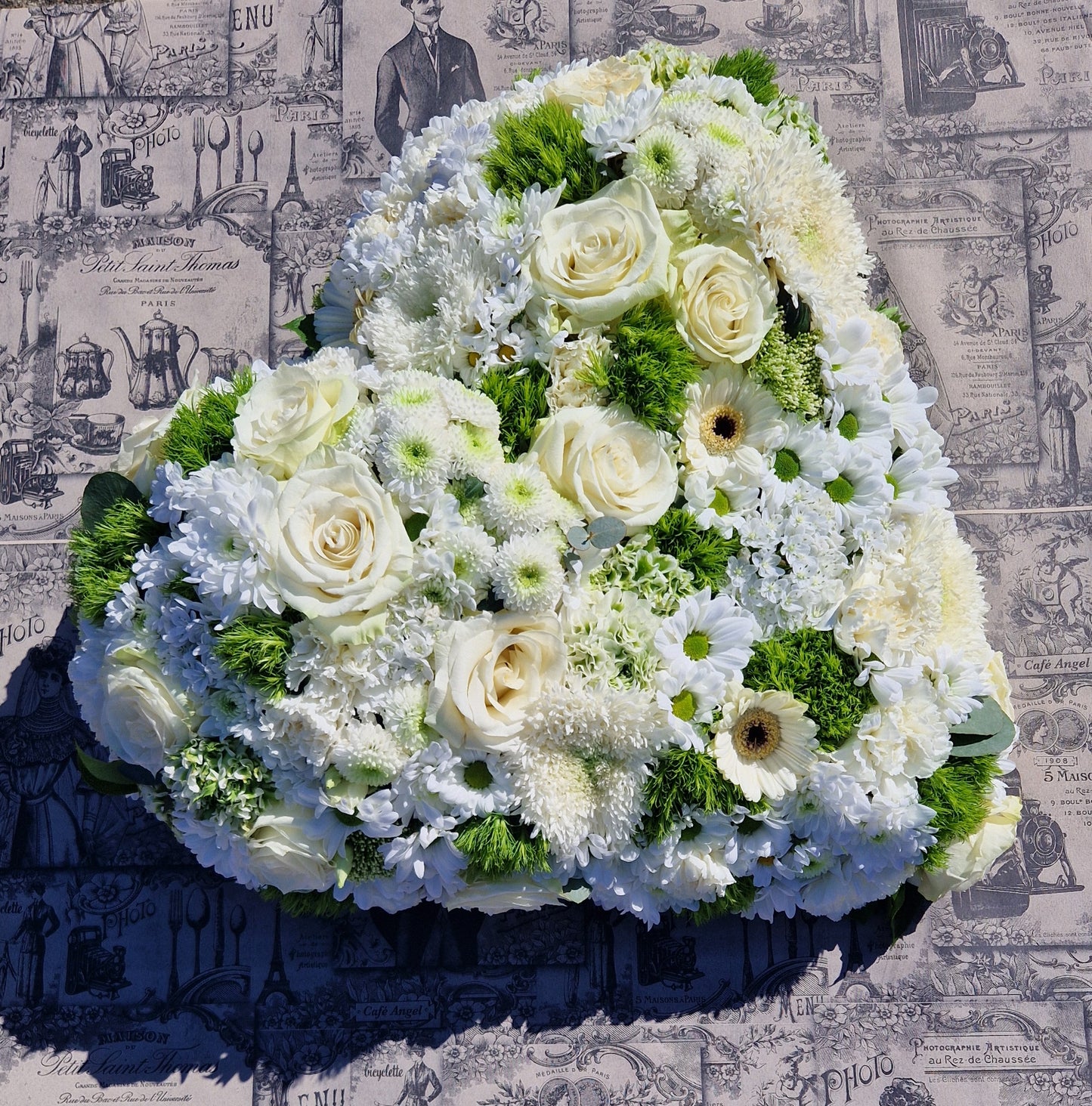 Cassiopée - Blanc et vert