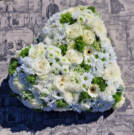 Cassiopée - Blanc et vert